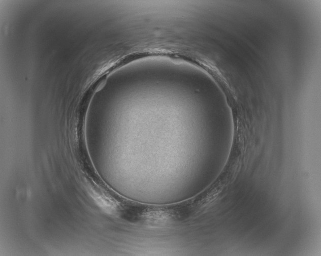 X0000080190299200612081434