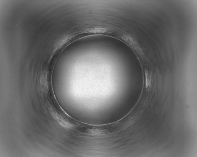 X0000080190300200612081434