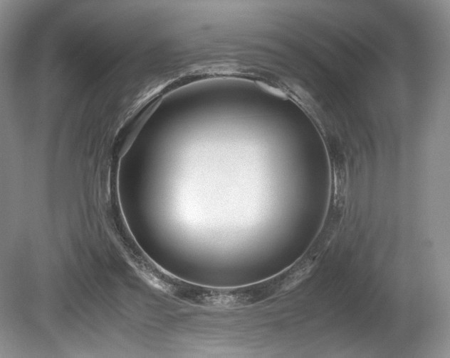 X0000080190301200612081434