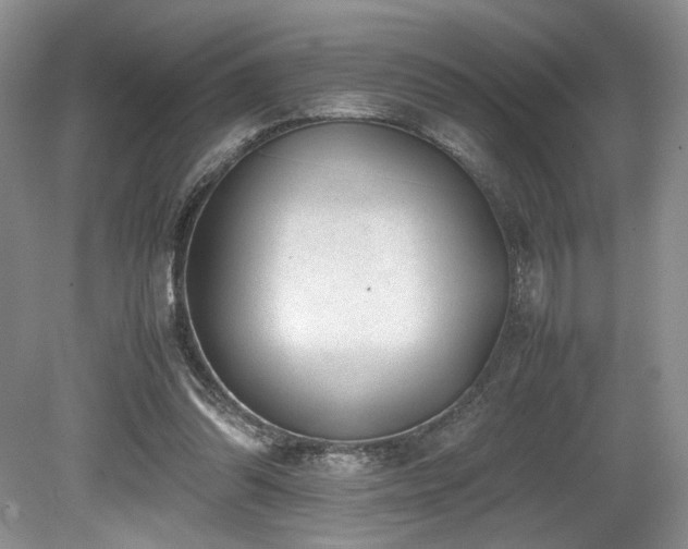 X0000080190302200612081434