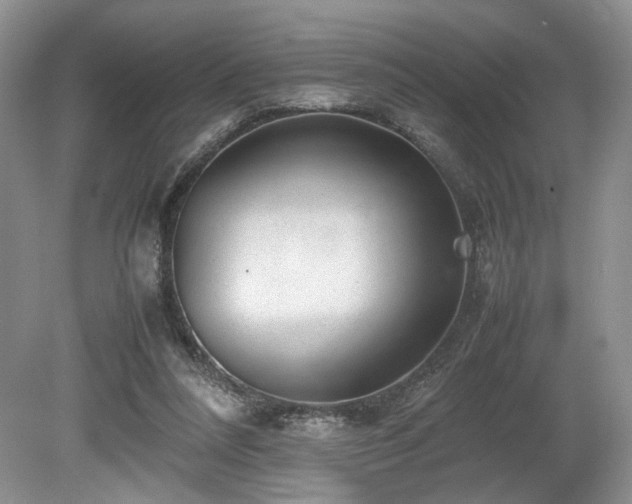 X0000080190304200612081434