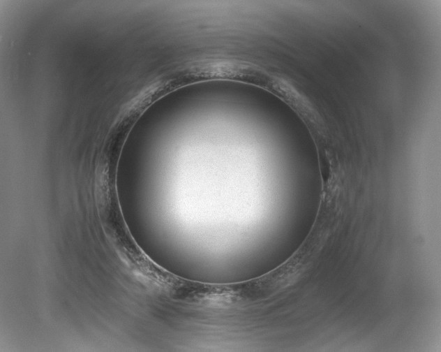 X0000080190306200612081434