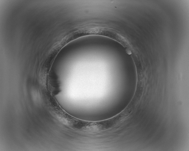 X0000080190307200612081434