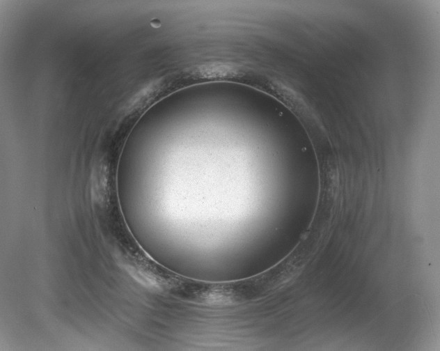 X0000080190308200612081434