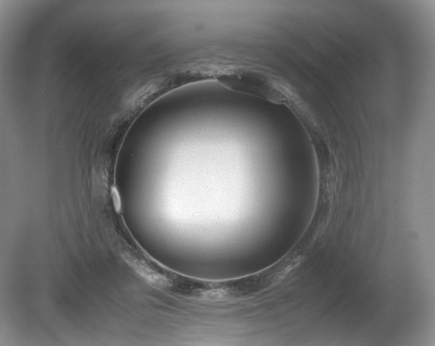 X0000080190309200612081434