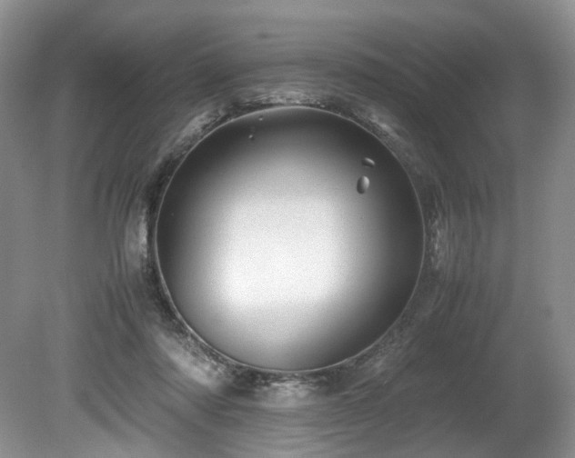 X0000080190310200612081434