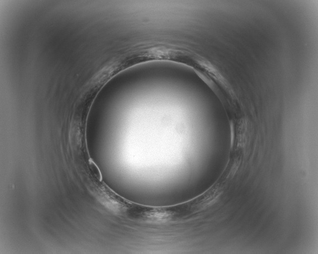 X0000080190313200612081434