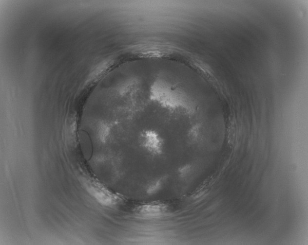 X0000080190314200612081434