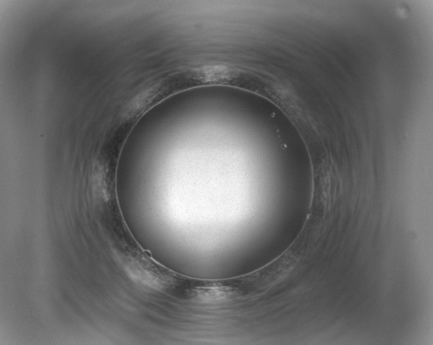 X0000080190316200612081434