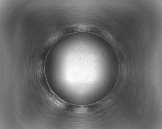 X0000080190318200612081434