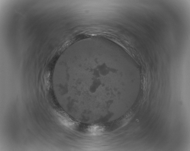 X0000080190319200612081434