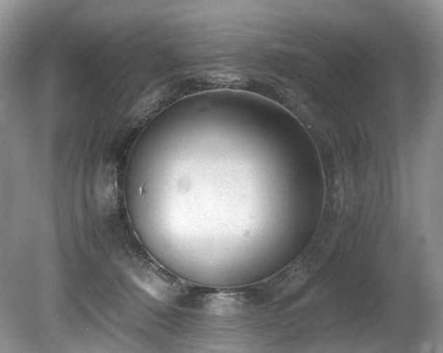 X0000080190320200612081434