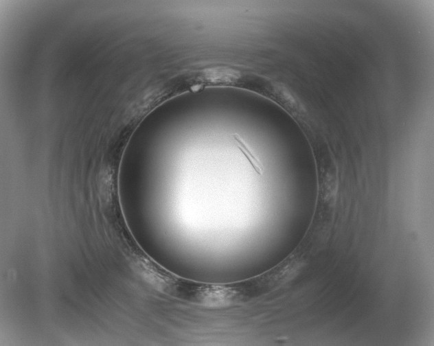 X0000080190321200612081434