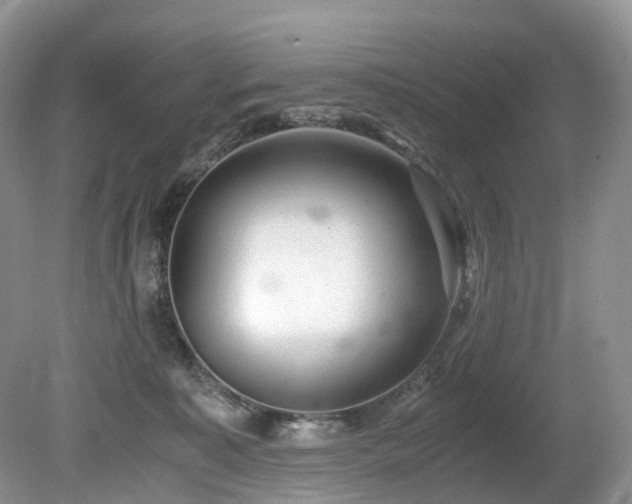 X0000080190323200612081434