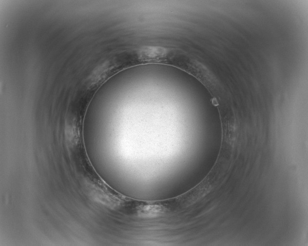 X0000080190324200612081434