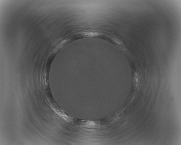 X0000080190330200612081434