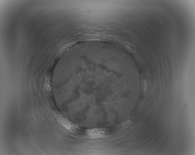 X0000080190331200612081434