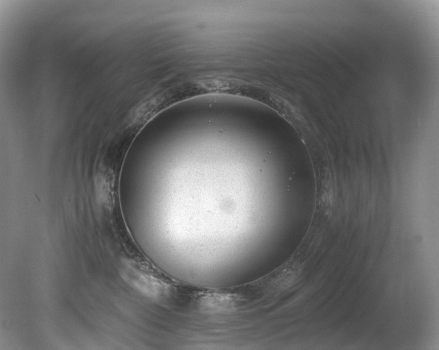 X0000080190332200612081434