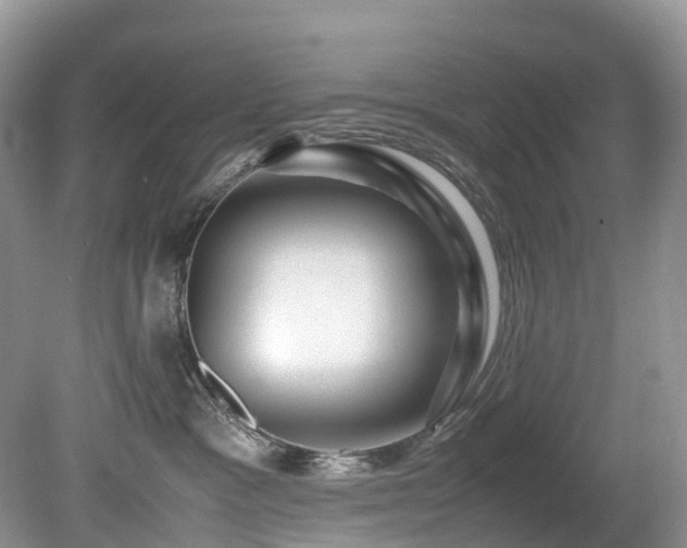 X0000080190333200612081434