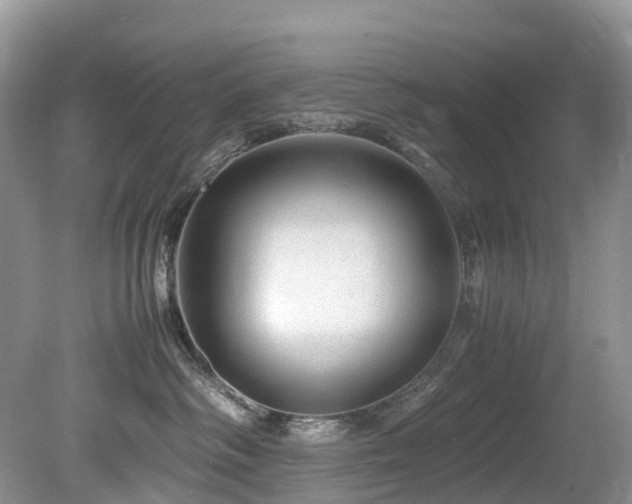 X0000080190334200612081434