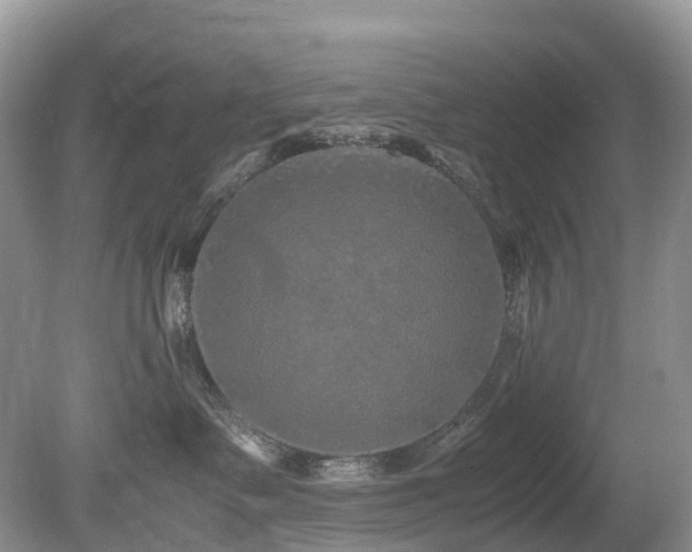 X0000080190335200612081434