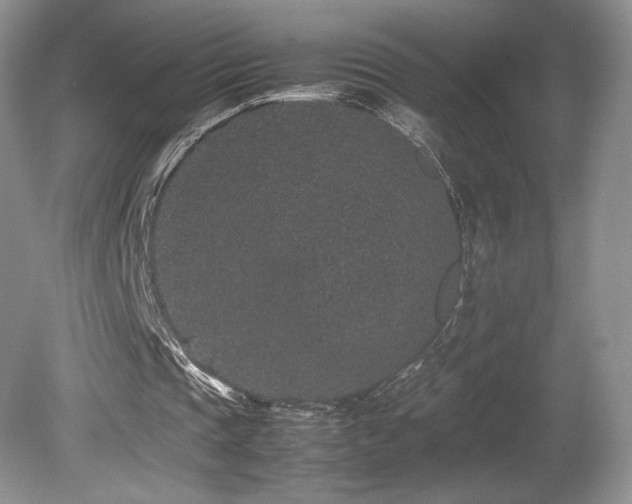 X0000080190337200612081433