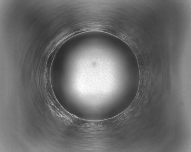 X0000080190338200612081433