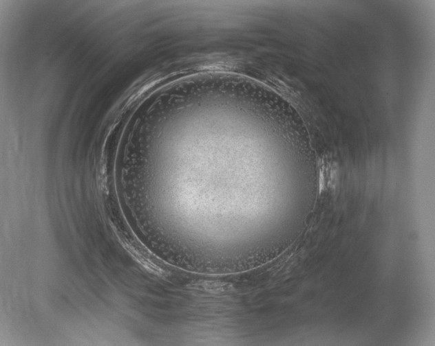 X0000080190339200612081433