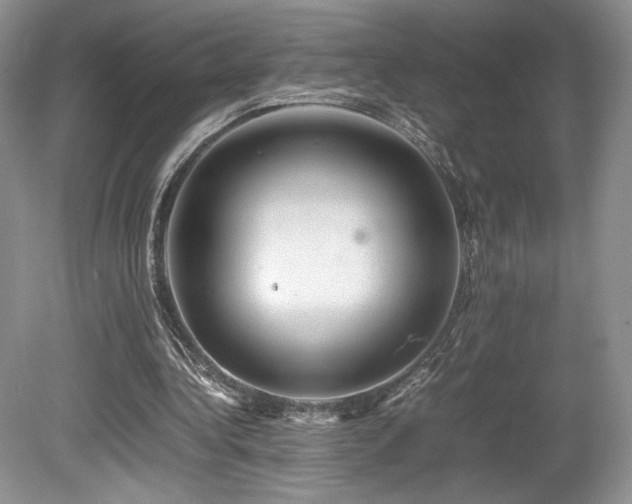 X0000080190340200612081433