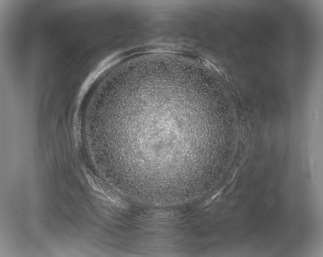 X0000080190343200612081433