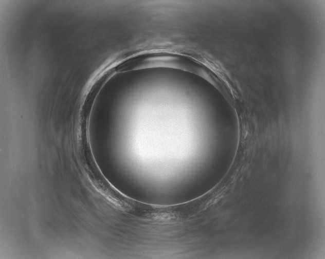 X0000080190344200612081433