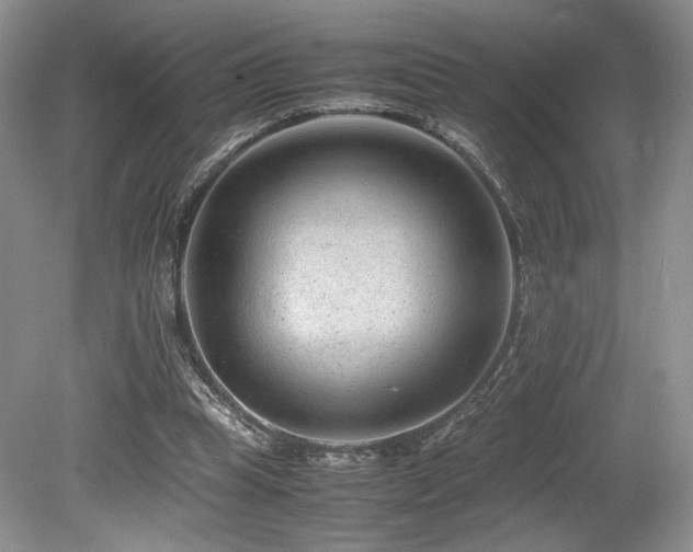X0000080190345200612081433