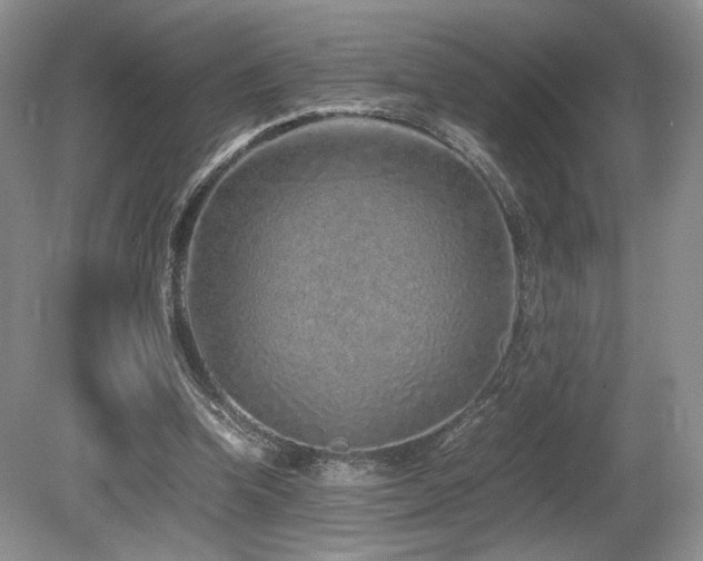 X0000080190346200612081433