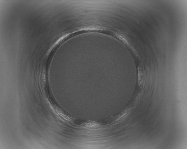 X0000080190348200612081433