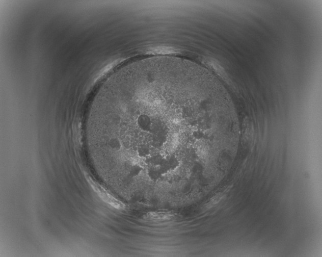 X0000080190351200612081433