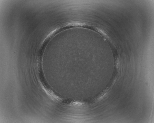 X0000080190352200612081433
