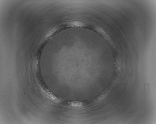 X0000080190355200612081433