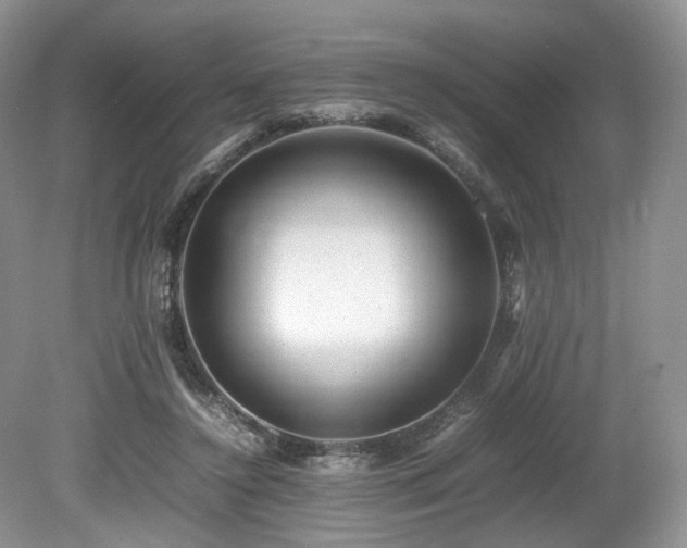 X0000080190356200612081433