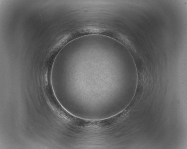 X0000080190358200612081433