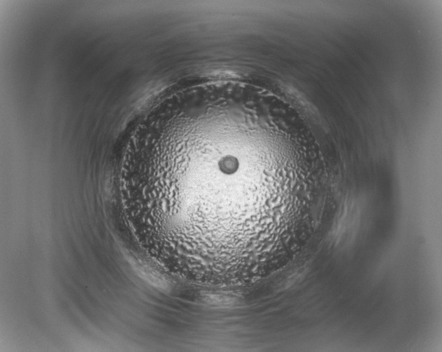 X0000080190359200612081433