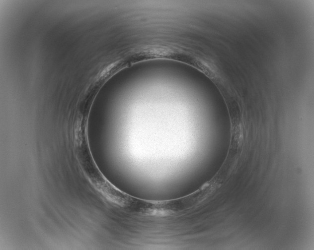 X0000080190360200612081433