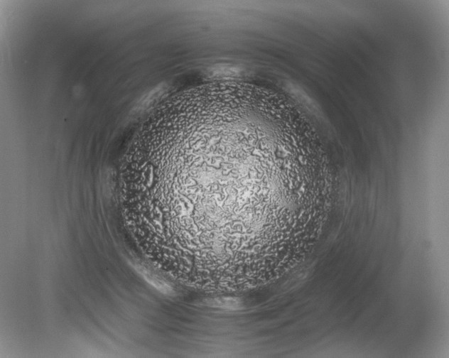 X0000080190361200612081433