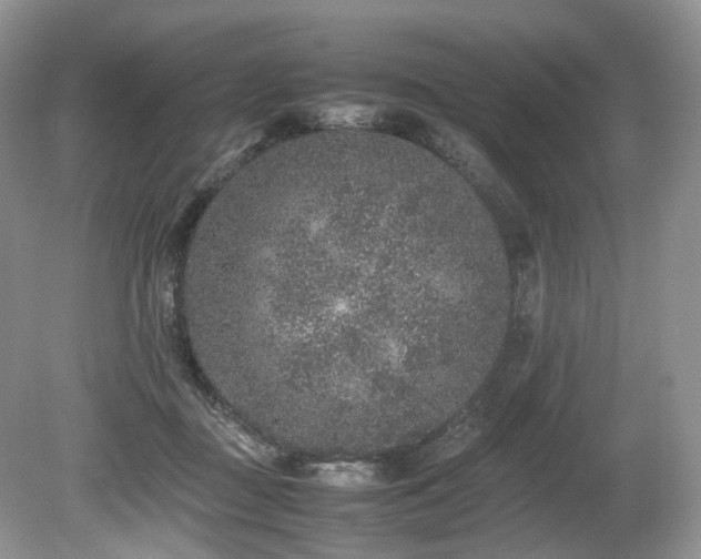 X0000080190363200612081433
