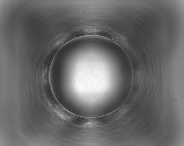 X0000080190364200612081433