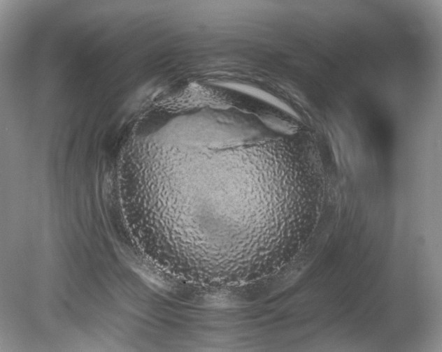 X0000080190365200612081433
