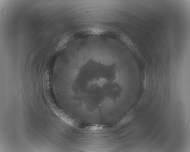 X0000080190366200612081433