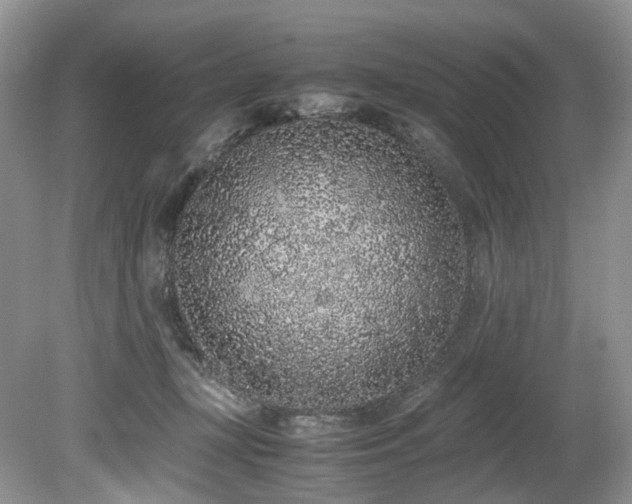 X0000080190367200612081433