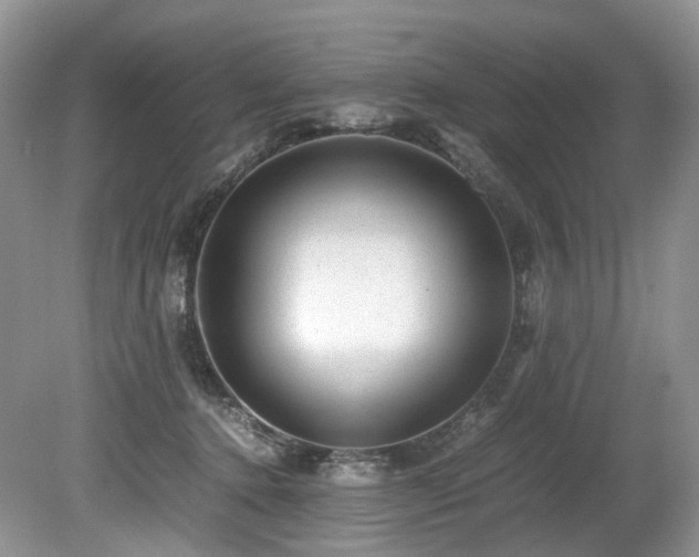 X0000080190368200612081433