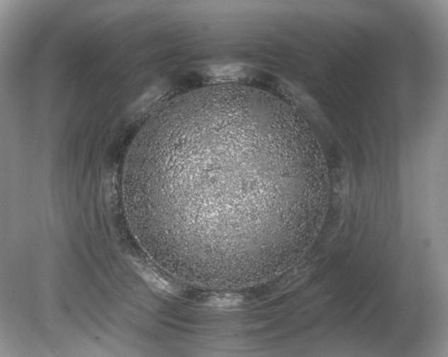 X0000080190369200612081433