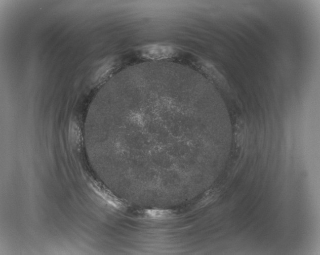 X0000080190371200612081433